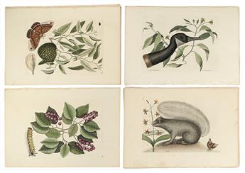 CATESBY, MARK. Twenty-one hand-colored engraved plates,